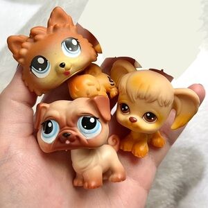 LPS dogs